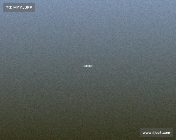 求生之路网游 求生之路网游